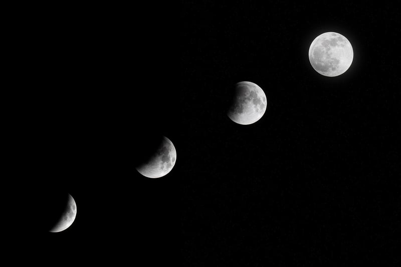 Moonlit Centerpieces